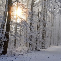 Winters Sun (2018) Anthology CD2 Track 02