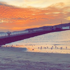 Survivor rmx️.m4a🏴‍☠️🎶