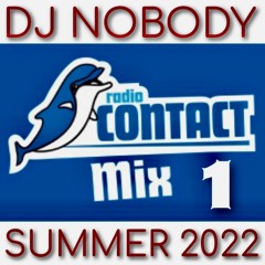 IN THE MIX CONTACT SUMMER 2022 part 1