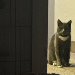 Just post the material u whining cryer