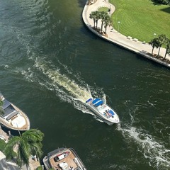 OB0588 — gustavio topman