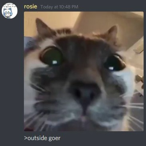 feeluvsyou - perc in the rain featuring xan