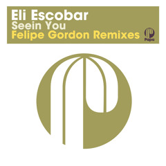 Seein You (Felipe Gordon Remix Edit)
