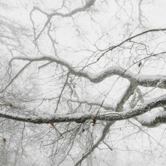 Love Came Down at Christmas - Edwin Fissinger