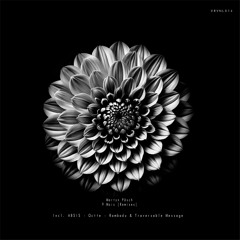 [VRVNL014] Martyn Päsch - 9 Mois [Rambadu, Octte, ABSIS & Traversable Message Remixes]