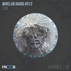 Wirelab Radio 012