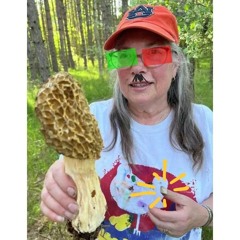 Morkelsuppe & trøffelsorbet