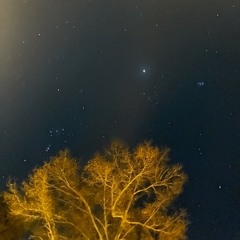 CRoW Night 3