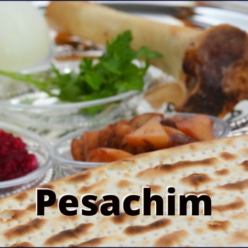 Stream Pesachim 117b by Somerton Community Kollel | Listen online for ...