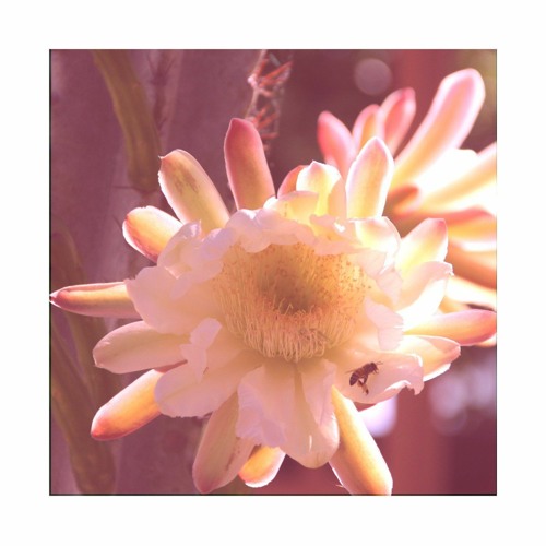 sand castles (prod. by benlibbenlib)