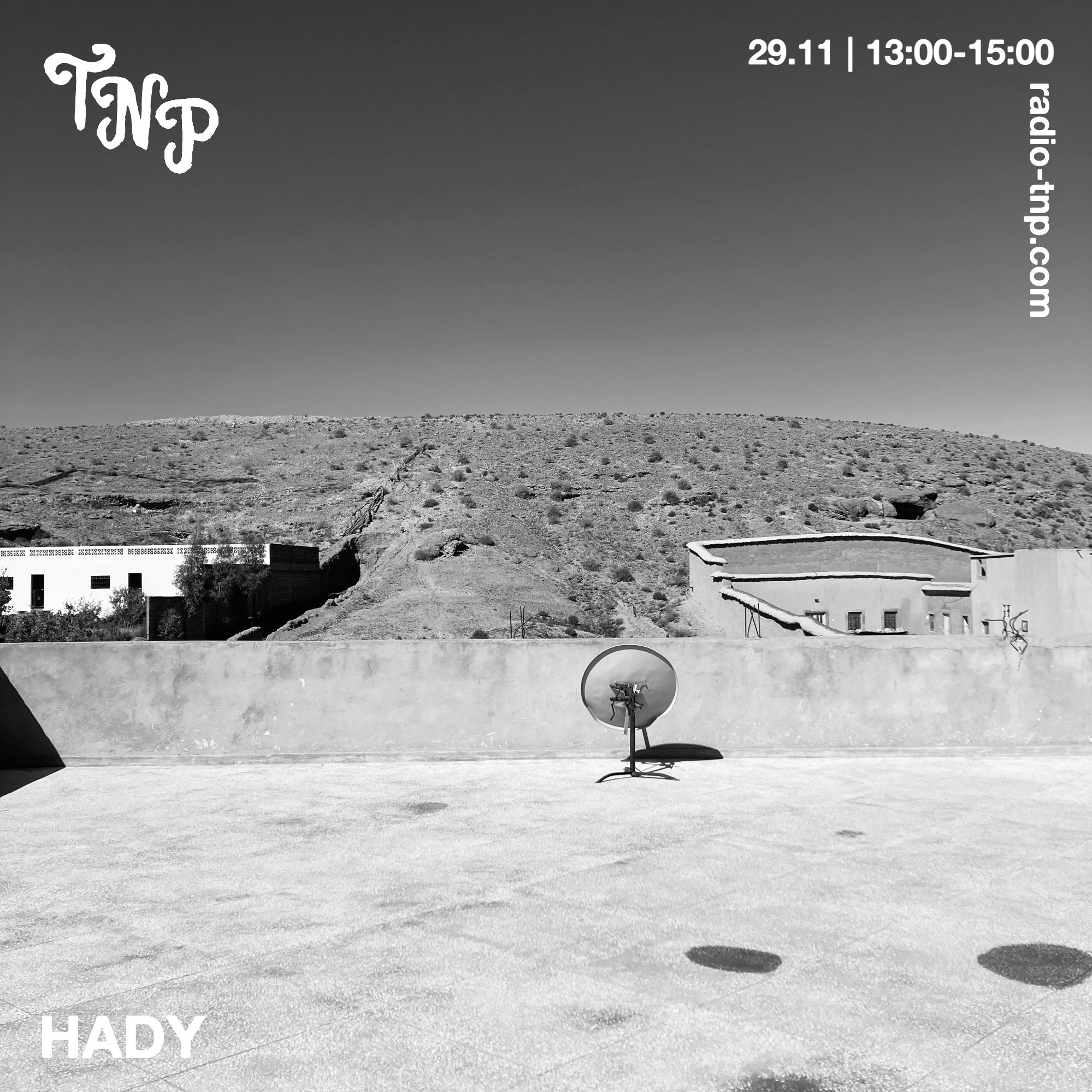 Hady