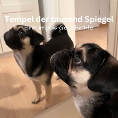 Tempel der tausend Spiegel