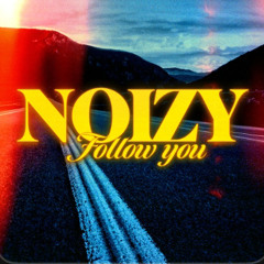 Noizy - Follow you (sped up)