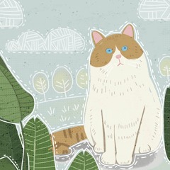 Đưa em vào trong - Thịnh Suy