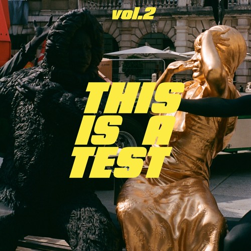 THIS IS A TEST  vol.2
