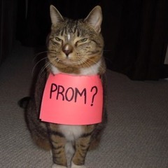 kicked out prom