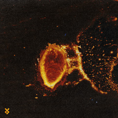 Arutani - Artefacts