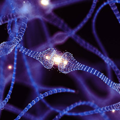 Wetware