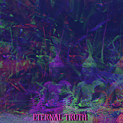 Eternal Truth DMT  (Live)