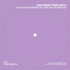 Antimatter (MT) - Violet Stripes On A Black Surface [RO13]