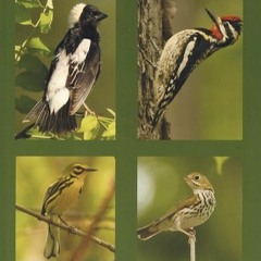 Birds Of Indian Subcontinent Pdf Download