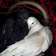 ｉｎｓｅｐｅｒａｂｌｅ