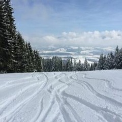 White Line