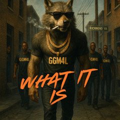WHAT IT IS....