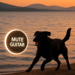 Soda Can Tha Tape: Mute Guitar Performance