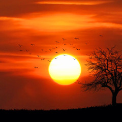 SUN ON THE HORIZON