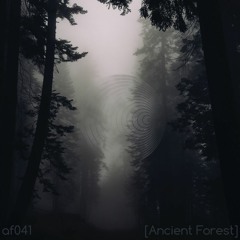 AF041 Ancient Forest