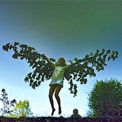 Jump & Fly (Demo)