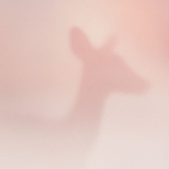 key memory ft @rylad