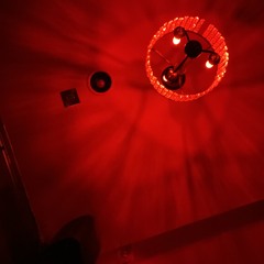 Red Flags and Roses(Demo)