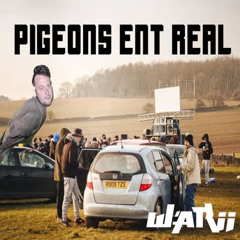 Warii - Pigeons Ent Real