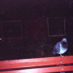 #59 Host Achieh // DJ Traytex x Beat Craft