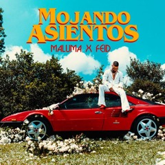 Maluma & Feid - Mojando Asientos (Acapella Studio) (Starter + Break + Intro) (Clean & Dirty)10 Edits