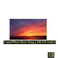 CamelPhat- Siren Song ( AHAM REMIX)