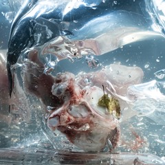 Noémi Büchi - Liquid Bones - 2 - Gesticulate Elastically