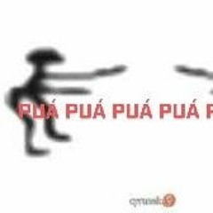 PIPICORE
