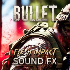Bullet Sound FX - Flesh Impact Bundle Preview