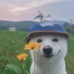 убиваю детей 4:20 (Смегма)