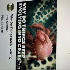 F*** The Internet (I'd Rather Be In Love!)... but with harmonica this time?