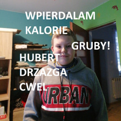 DIS NA HUBERTA DRZAZGE 3