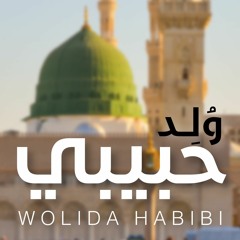 Wolida Habibi | ولد حبيبي