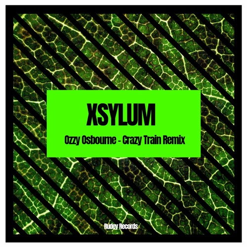 Ozzy Osbourne - Crazy Train (Xsylum Bootleg)