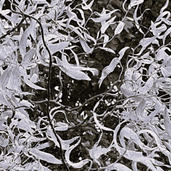 Mosaique Moderne-WAV