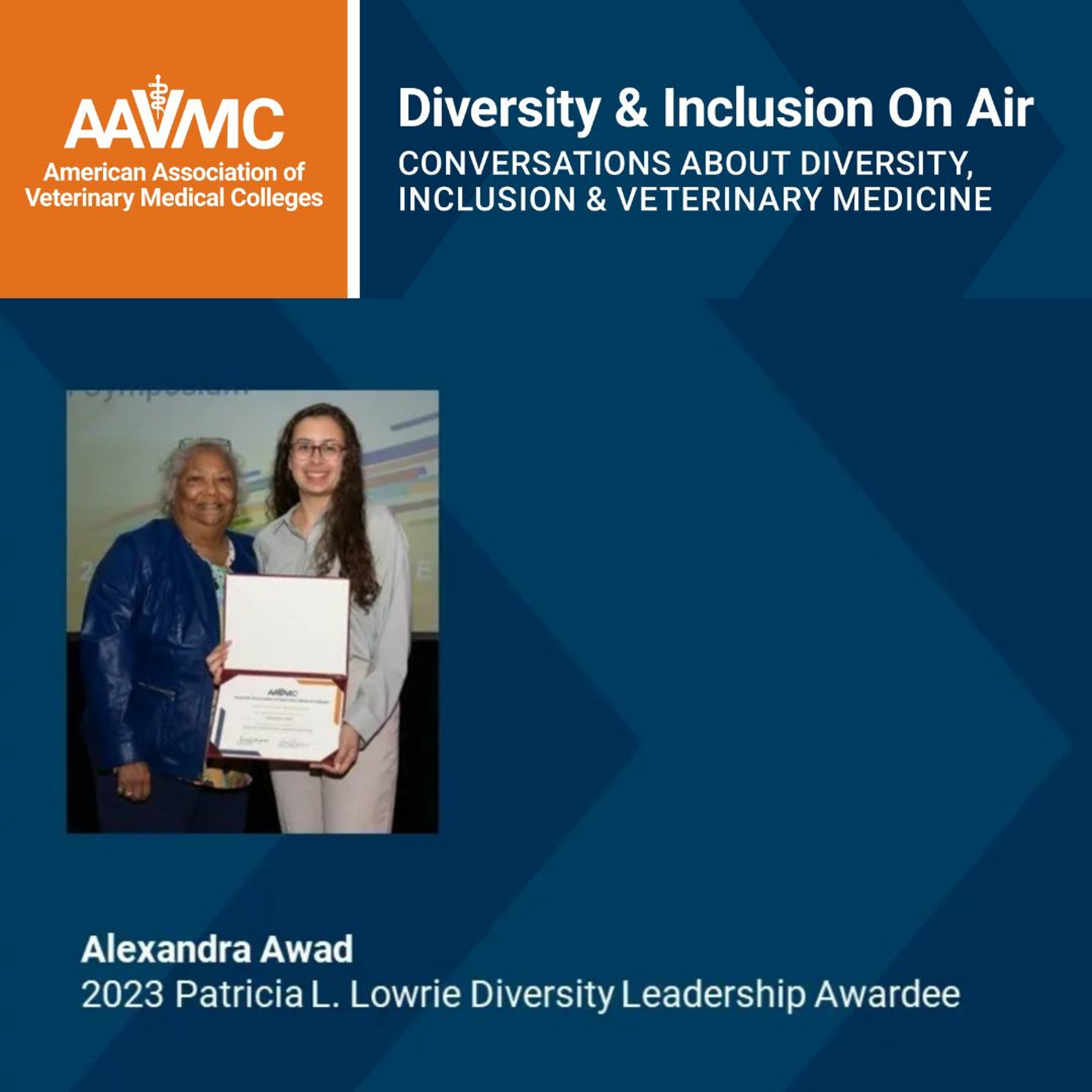 AAVMC\'s On Air: Conversations about Issues in Veterinary Medicine