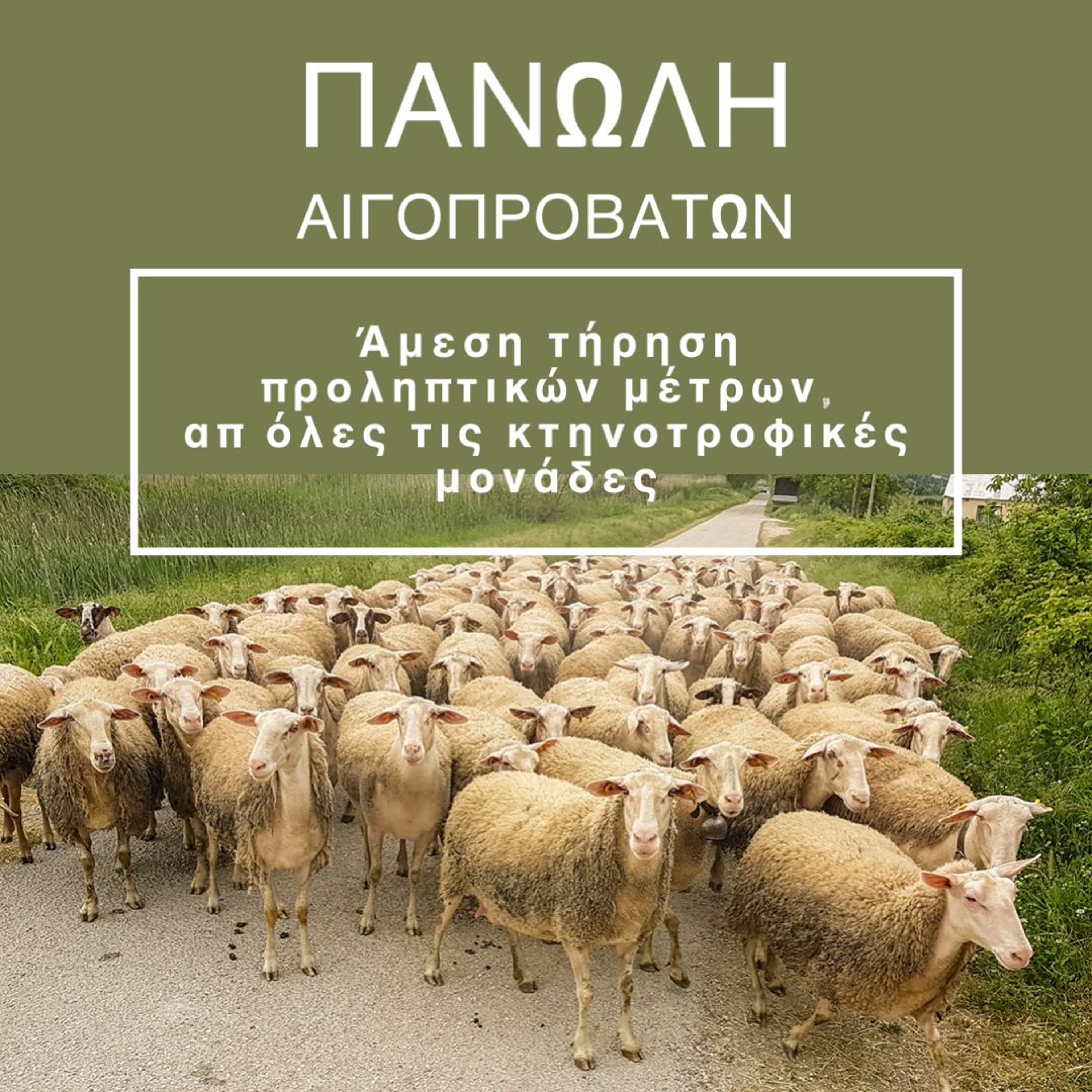 Άμεση τήρηση προληπτικών μέτρων απ΄ όλες τις κτηνοτροφικές μονάδες episode artwork