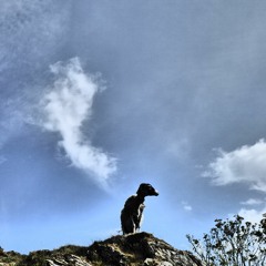 #061 Do We Still Needs Humans?